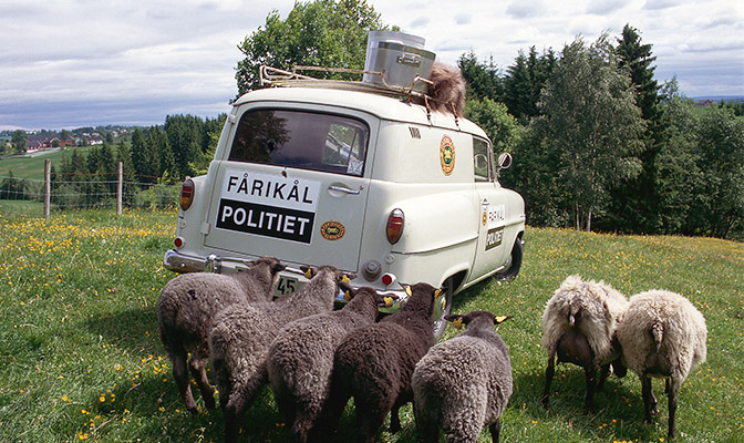 fårikål politiet i utmark a